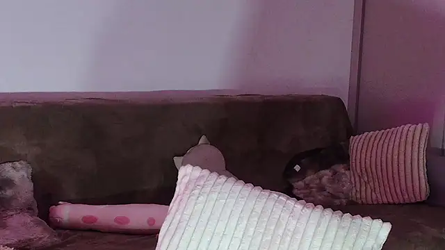 Snapshot of Eva_Millar chatting on February 21, 2026, 8:26 am Eva Millar online show from February 21, 2026, 8:26 am