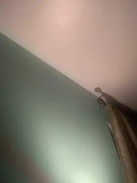 longhairjim online show from February 9, 2025, 7:49 am