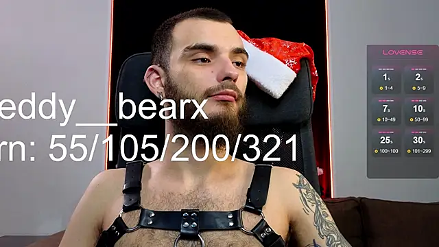 xteddy bear online show from December 25, 2024, 2:13 pm
