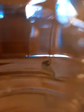 kx93 online show from October 7, 2025, 3:47 am