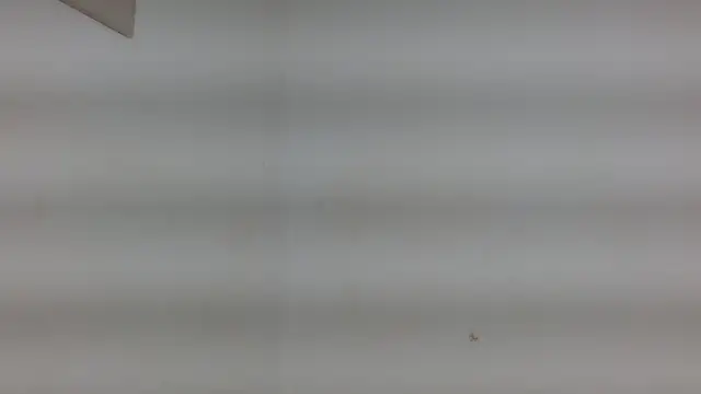 Snapshot of yulissa18 chatting on January 29, 2025, 3:22 am yulissa18 online show from January 29, 2025, 3:22 am