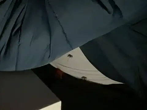 tomazu11 online show from October 26, 2025, 6:30 am