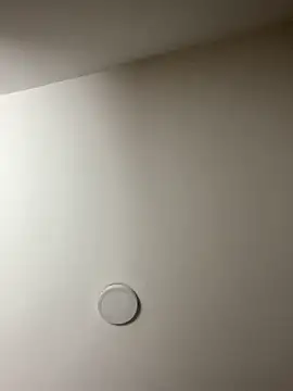 Freya Artemisa online show from February 13, 2026, 8:38 pm