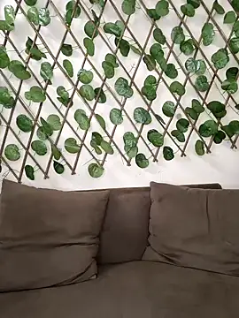 Bold-Cat online show from October 2, 2025, 8:16 pm