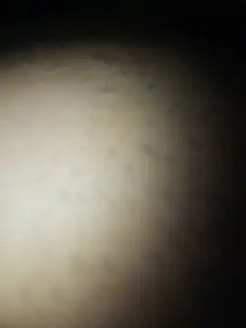 Snapshot of Gostosooooooooooso chatting on May 27, 2026, 5:10 pm Gostosooooooooooso online show from May 27, 2026, 5:10 pm