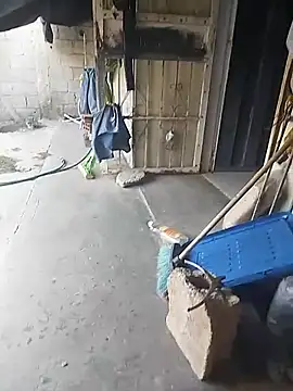 SheandDog online show from December 18, 2024, 7:19 pm