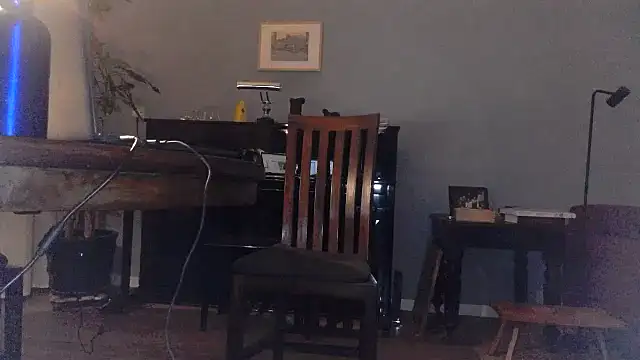 Snapshot of RolfS chatting on January 18, 2025, 11:11 pm RolfS online show from January 18, 2025, 11:11 pm