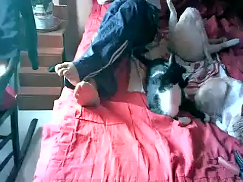 2mgars online show from September 22, 2025, 8:44 pm