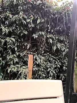 Fun Everywhere online show from March 14, 2025, 8:38 pm