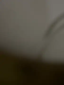 Snapshot of pietro89 chatting on May 31, 2026, 8:43 pm pietro89 online show from May 31, 2026, 8:43 pm