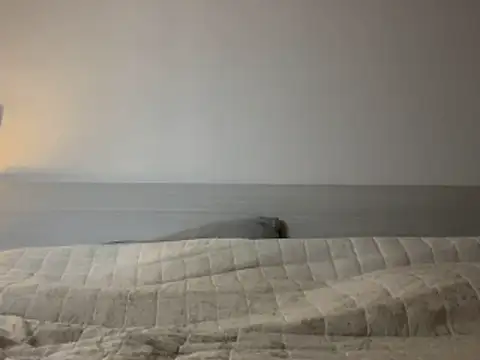 Diletta21 online show from February 11, 2026, 3:50 pm