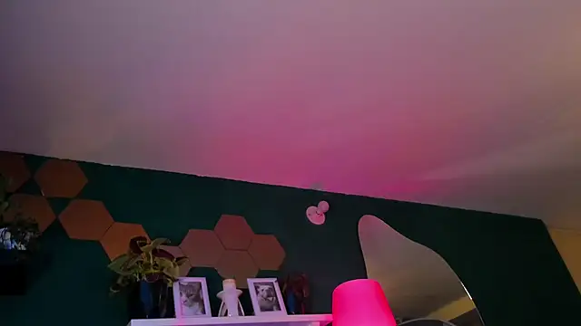 evy orange1 online show from April 16, 2026, 1:06 am