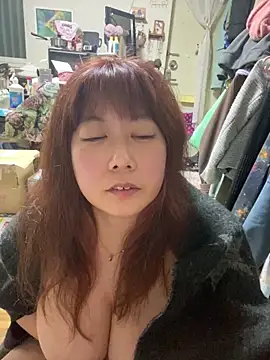 Snapshot of Nolstein chatting on February 4, 2025, 4:08 pm Nolstein online show from February 4, 2025, 4:08 pm