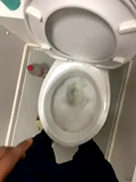 Rastamanzigy22 online show from November 16, 2025, 6:19 am