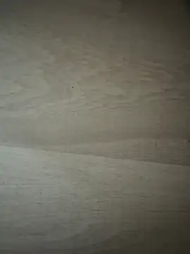 Snapshot of Joanachupa chatting on January 18, 2026, 12:20 pm Joanachupa online show from January 18, 2026, 12:20 pm