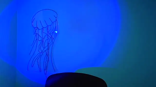 Snapshot of Fantasy_July chatting on January 10, 2025, 6:42 am Fantasy July online show from January 10, 2025, 6:42 am