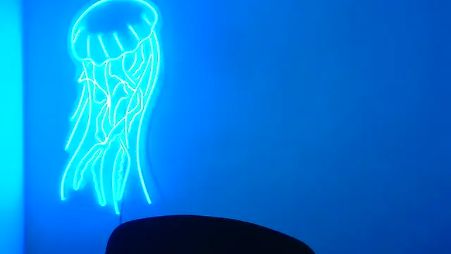 Snapshot of Fantasy_July chatting on March 17, 2025, 9:33 am Fantasy July online show from March 17, 2025, 9:33 am