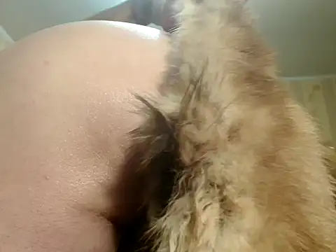 Valentina3859 online show from November 10, 2025, 11:20 am