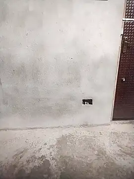 Priya-bhabi012 online show from February 25, 2026, 7:29 am