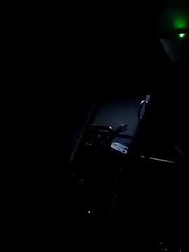 Snapshot of Bullgardenrnc123 chatting on October 14, 2025, 7:03 pm Bullgardenrnc123 online show from October 14, 2025, 7:03 pm