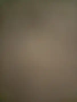 Mona-Singh online show from March 17, 2025, 4:29 am