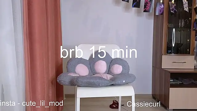 art phoenix online show from December 1, 2024, 7:36 pm