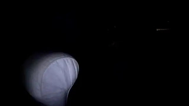 byakkotorra online show from March 5, 2025, 9:48 pm