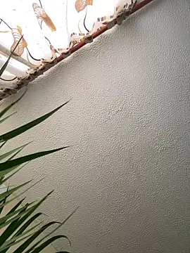 Snapshot of Arii_vega_ chatting on February 23, 2025, 9:05 pm Arii vega online show from February 23, 2025, 9:05 pm