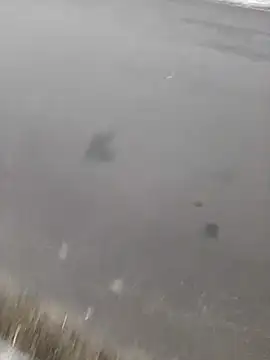 Snapshot of BRUNNA chatting on March 20, 2025, 3:34 am BRUNNA online show from March 20, 2025, 3:34 am