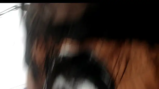 Snapshot of evaleribigtits18 chatting on November 24, 2025, 7:13 pm evaleribigtits18 online show from November 24, 2025, 7:13 pm