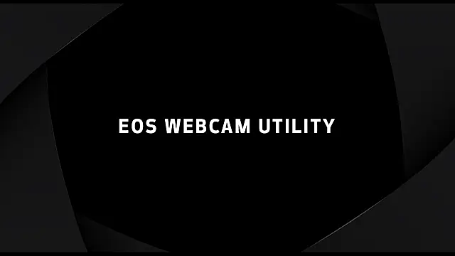 DamienSliick online show from September 23, 2025, 11:24 am