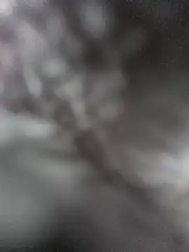 Snapshot of hungarian_dick chatting on January 31, 2025, 9:37 am hungarian dick online show from January 31, 2025, 9:37 am