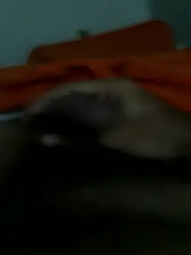 lm279 online show from January 14, 2026, 3:06 pm