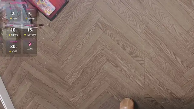 Lana-Gross online show from January 22, 2025, 1:32 pm