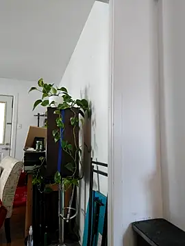 QcMisterv13 online show from September 30, 2025, 2:22 pm