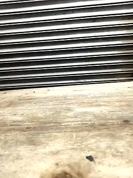 Bhabhi desi12 online show from November 9, 2025, 9:18 am