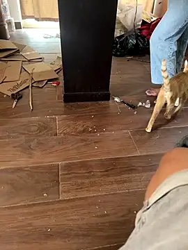 mexi01we online show from September 16, 2025, 6:09 pm