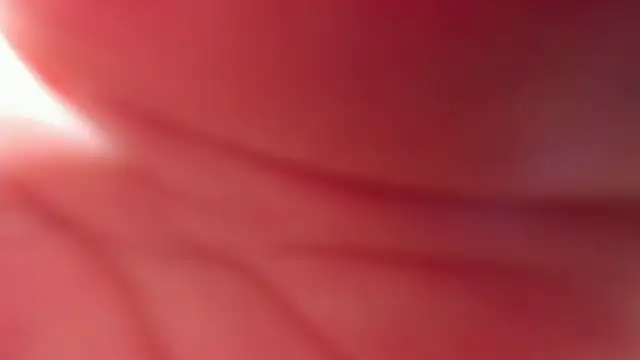 Snapshot of Wet_Girlxxx chatting on February 14, 2025, 1:02 am Wet Girlxxx online show from February 14, 2025, 1:02 am