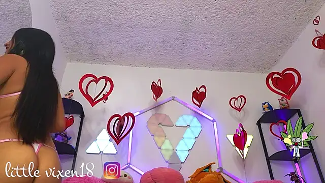 littlevixen18 online show from February 25, 2026, 2:05 pm