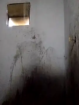 Percybr4561 online show from November 1, 2025, 1:13 pm