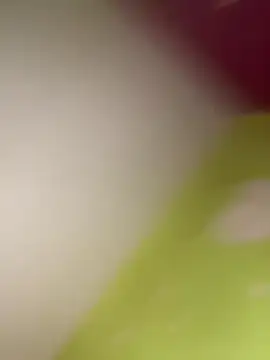 Snapshot of wulfgar5677 chatting on December 8, 2024, 12:30 pm wulfgar5677 online show from December 8, 2024, 12:30 pm