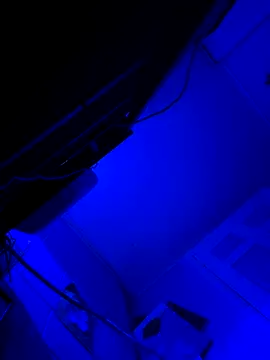 Snapshot of hotNReady6969 chatting on October 10, 2025, 10:14 am hotNReady6969 online show from October 10, 2025, 10:14 am