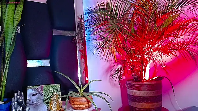 RyanRizzo online show from January 22, 2025, 7:24 pm