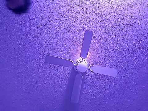 big8dall online show from September 24, 2025, 6:50 am