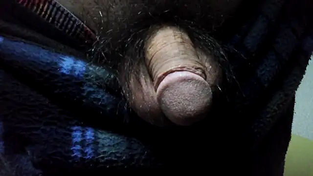 Snapshot of ikkakusai11 chatting on December 24, 2024, 8:11 am ikkakusai11 online show from December 24, 2024, 8:11 am