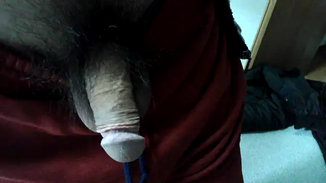 Snapshot of ikkakusai11 chatting on January 2, 2025, 3:48 am ikkakusai11 online show from January 2, 2025, 3:48 am