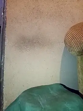 Thickcockzivyy online show from February 20, 2026, 12:40 am