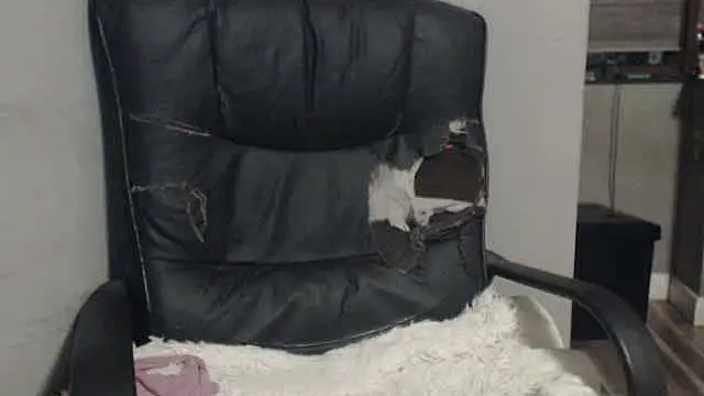 sexyfuckers online show from November 6, 2025, 9:37 pm