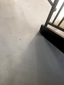 zeekBbc online show from October 27, 2025, 2:21 pm