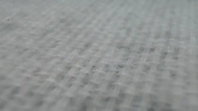  Zooee online show from January 27, 2025, 4:22 pm